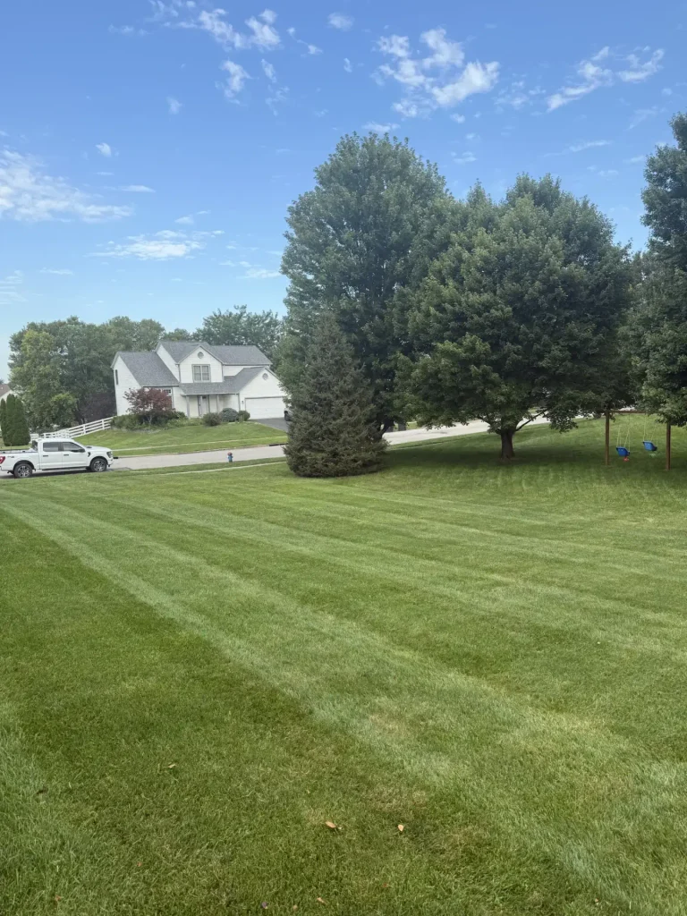 Thick striped residential lawn in Lancaster, Ohio maintained through a fall lawn fertilization program