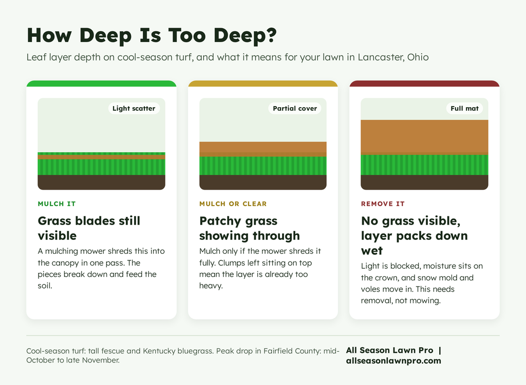 fall leaf cleanup Lancaster Ohio leaf depth guide showing when to mulch and when to remove