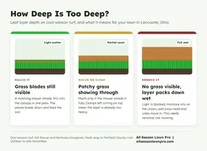 fall leaf cleanup Lancaster Ohio leaf depth guide showing when to mulch and when to remove